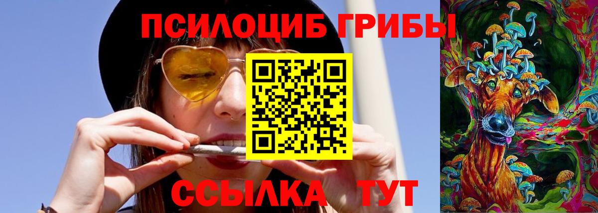 Псилоцибиновые грибы мицелий Усолье-Сибирское