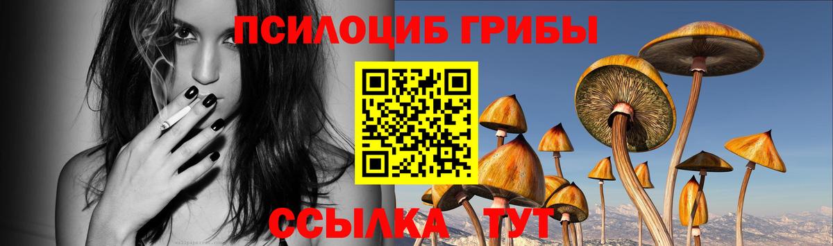 цены наркотик  Галлюциногенные грибы мицелий  Вход с VPN  Усолье-Сибирское 